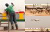 Memory in Motion: Ghana Airways plane gets fresh look?