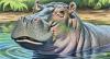 Tolomedzi Hippopotamus Sanctuary: the untapped treasure trove