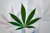 Rhode Island Marijuana Regulators Begin Screening Prospective Business License Applicants For Social Equity Status