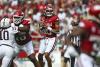 Arkansas football QB Taylen Green throws 6 TDs in season-opening rout of Alabama A&M