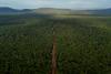 In Guyana, remote dirt road seen as future economic lifeline