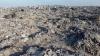 Euro-Mediterranean Human Rights Monitor: Israel is razing entire neighborhoods in Gaza City to ground to wipe out life
