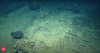 A paved path 1,000 meters below the Pacific? Scientists spot a mysterious ‘yellow brick road’ near Hawaii, and humans didn’t build it