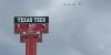 Texas Tech blows out Arkansas-Pine Bluff, 67-7, in season opener