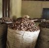Nigeria’s shea nut export ban stirs industry concern as prices fall