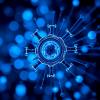 Enhancing Biomedical Engineering Education: Faculty Development Insights