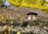 Bhutan: Happiness, harmony, and gentle tourism