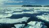 Scientists issue warning after witnessing 'very shocking' phenomenon in Arctic: 'It was not just a marginal record'