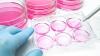 Scientists Uncover Cellular “Toolkit” To Reprogram Immune Cells for Cancer Therapy