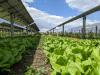 New Ohio bill could hamstring big wind and solar farms even more