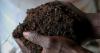 Benin agricultural project uses fly larvae to produce organic fertilizer