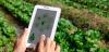 Selected panel for IICA’s 2025 Agriculture Week includes Dominican startup CERES Agriculture