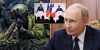 France 'readies hospitals for war' and Germany 'on guard' as Vladimir Putin kicks off military drills