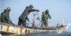 Gambia’s desperate local fishermen attack foreign vessels