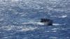 At least 69 people dead after boat capsizes off Mauritania's coast