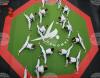 Bulgarian Athletes Win Six Medals at Multi European Games Taekwondo 2025