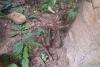 Cambodian troops warned they risk death planting mines in Thai soil