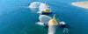 Corvus Energy Battery System Powers Latin America's First Electric Tugboat