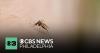 Delaware County Health Department identifies first human case of West Nile virus