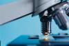 African swine fever (ASF) has been detected at a large pig farm in Latvia