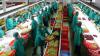 Africa’s Next Transformation Must Be Built on Agriculture and Agro-Processing