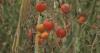 Climate change costs Albania $198 million