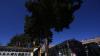 A pine tree in Bolivia’s capital, La Paz, has become a symbol of hope and devotion after being struck by lightning 10 years ago.