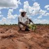 A Field-Based Perspective on Sub-Saharan Africa’s Agriculture Crisis: Exploring the Four Critical Dimensions that are Driving Food Insecurity