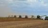 Brazil will remain China’s preferred soybean supplier, not the US