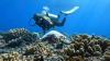 First-Time Scuba Divers Are Flourishing In French Polynesia