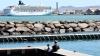 Cruise line trade group sues Hawaii over increased tax