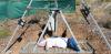 How do bodies decompose? Cape Town forensic scientists are pushing frontiers of new detection methods