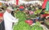 Why Africa's next transformation must be built on agriculture and agro-processing