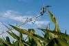 Reinke Manufacturing Announces U.S. and Canada Availability of E3™: The First Precision Series of Center Pivot Systems