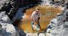 Best photos of September 3: Salt farming in Algeria to Tibetan Democracy Day