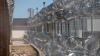 Angola To Host ICE Detainees