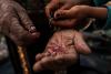 Israel’s Attacks on Seed Banks Destroy Millennia of Palestinian Cultural Heritage