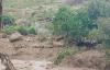 AFRICA/SUDAN - "Landslide in Tarasin is not only a natural disaster but a tragedy caused by war and the world's indifference towards Sudan"