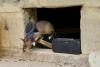 Land mines and tuberculosis are no match for Tanzanian ‘hero rats’ sniffing out danger and disease