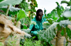 Farm to fork: Five ways Africa is boosting food security
