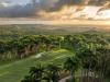 GOLF TRAVEL: Mingling with green monkeys at Apes Hill Barbados
