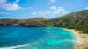 One Hawaiian Beach Came Alive During the 2020 Lockdowns