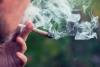 Anchorage Assembly passes on pot-smoking spots