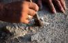 Palaeontologists have uncovered an ancient marine crocodile fossil in Angola