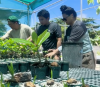 Taguan conservation aims to heal Guam's limestone forest, traditions