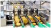 India's Food Processing Sector Accounts For 7.7% Of Manufacturing Output, Supports 7 Million Jobs; To Reach $535 Billion By 2025-26