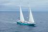 Weekly Coffee News: Coffee Shipping by Sail + Prices Surge