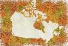 Canada Grows a Hell of a Lot of Lentils. Why Won’t We Eat Them?