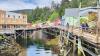 57-Year-Old Cruise Passenger Dies in Tragic Crash While in Alaskan Port