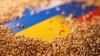 Grain from Ukraine: more than 20 million people have received food